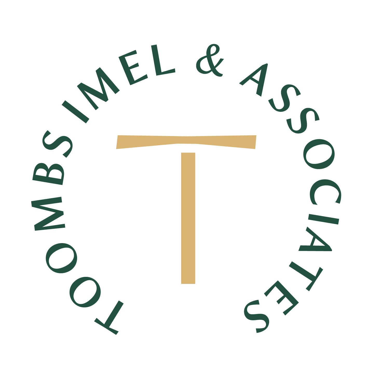 Toombs Imel and Associates Transparent Color Logo